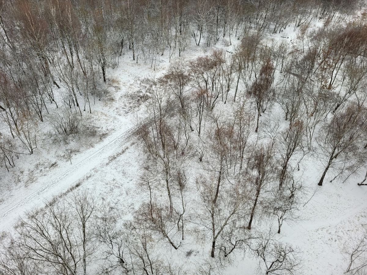 Зима с балкона.