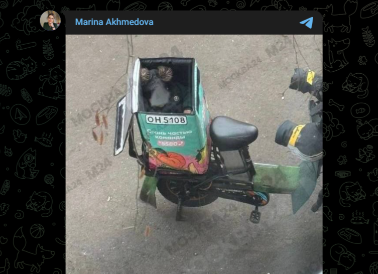 Фото: Telegram-канал Marina Akhmedova