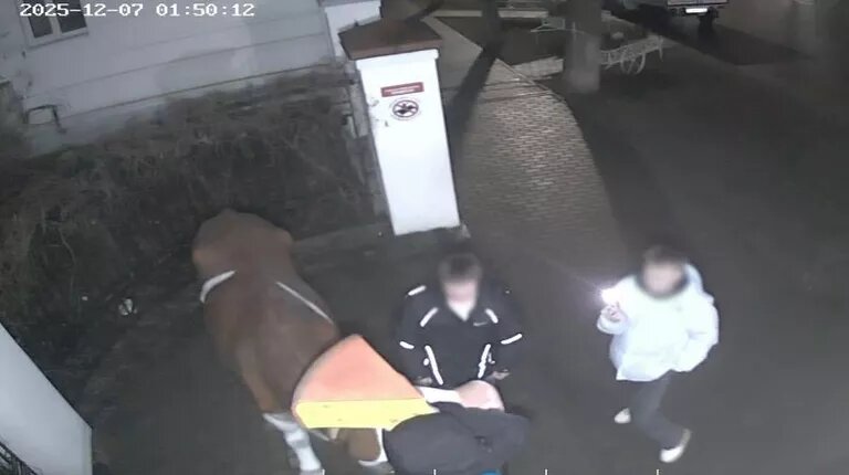    Фото: Музей сыра