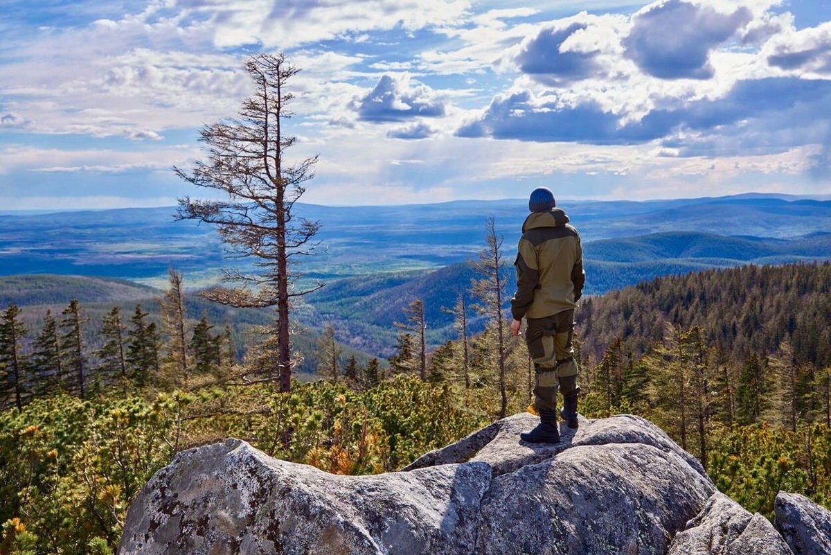 Фото из Яндекса 