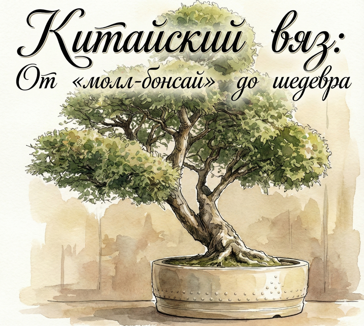 Почему Ulmus parvifolia заслуживает места в коллекции мастера, а не только на подоконнике новичка