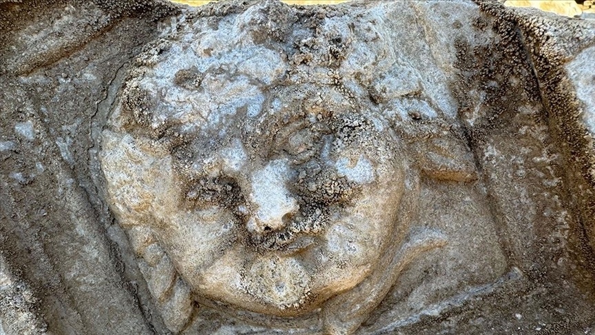     Фото: Bartin University