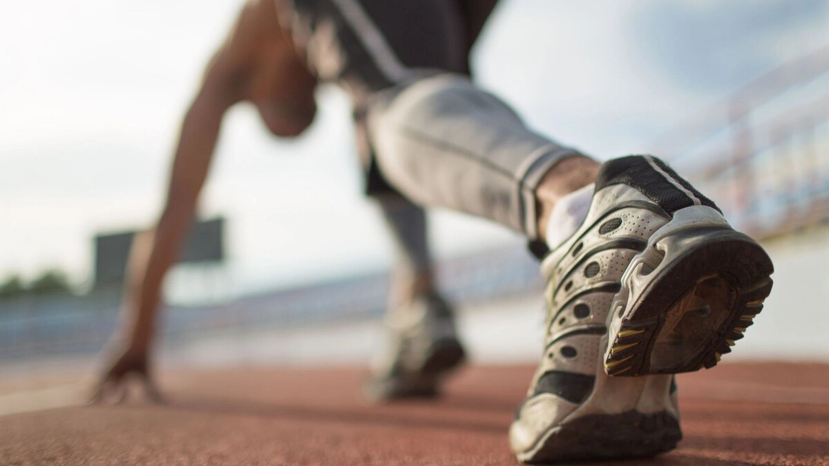    Фото: Hlib Shabashnyi / Shutterstock / Fotodom