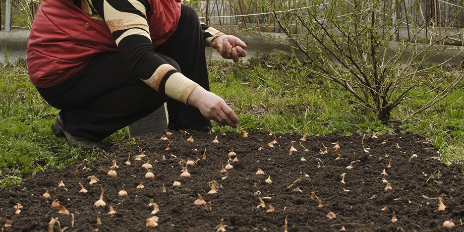    Фото: depositphotos/Leonid_Shtandel