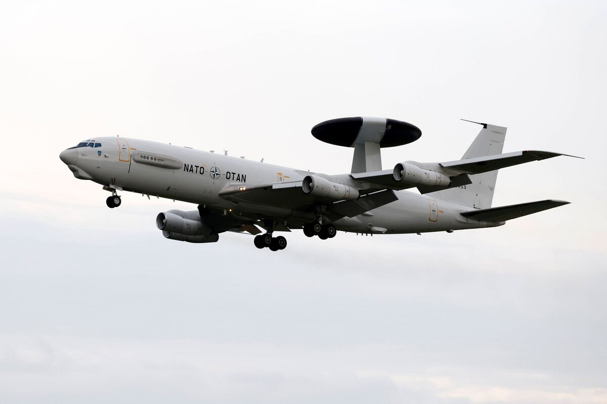     / Источник: © Global Look Press