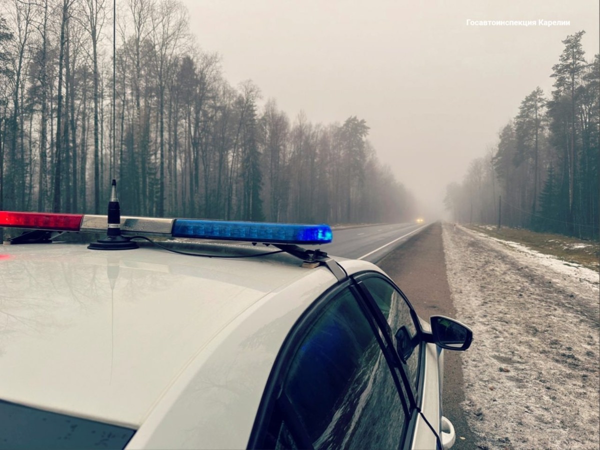    Фото: ГИБДД Карелии