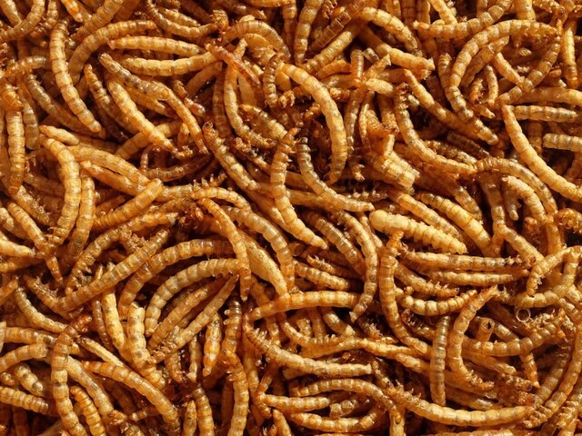    Фото: 123RF.com/sarahdoow