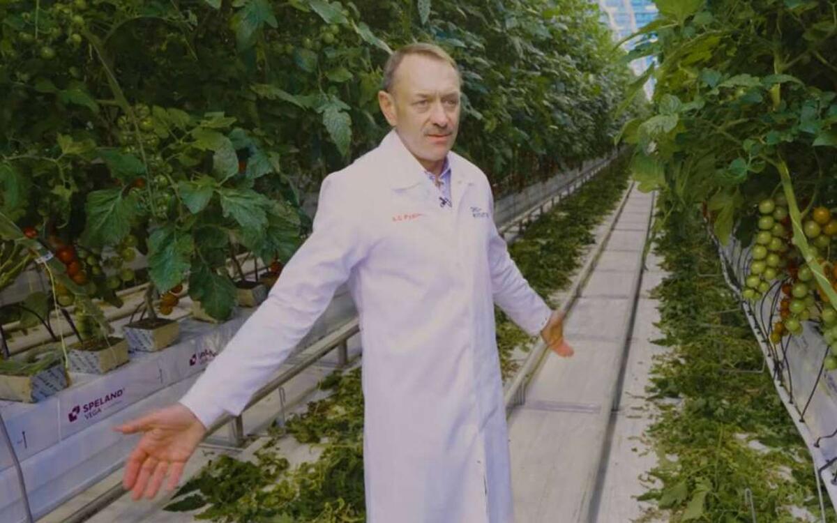    «Это сельское хозяйство, мы же не патроны производим»: владелец воронежской «Эко-культуры» высказался о болях агрария при работе с сетями Скриншот с видео Ксении Собчак