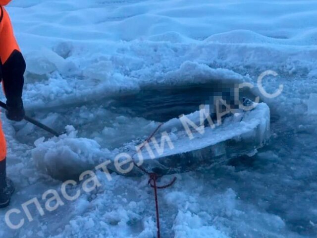    Фото: телеграм-канал "СПАСАТЕЛИ МАСС"