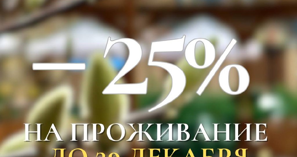 До 29 декабря в «Династии» действует специальное предложение — минус 25% на проживание