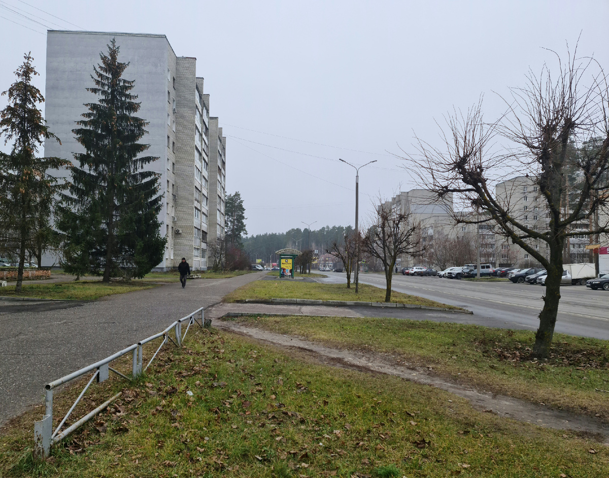 А на улицах часто в природе есть шум. И птицы шуметь умеют и дикие звери тоже