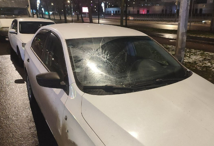 фото: пресс-служба вневедомственной охраны по Петербургу и Ленобласти