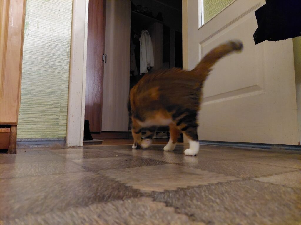    Фото: Главный региональный