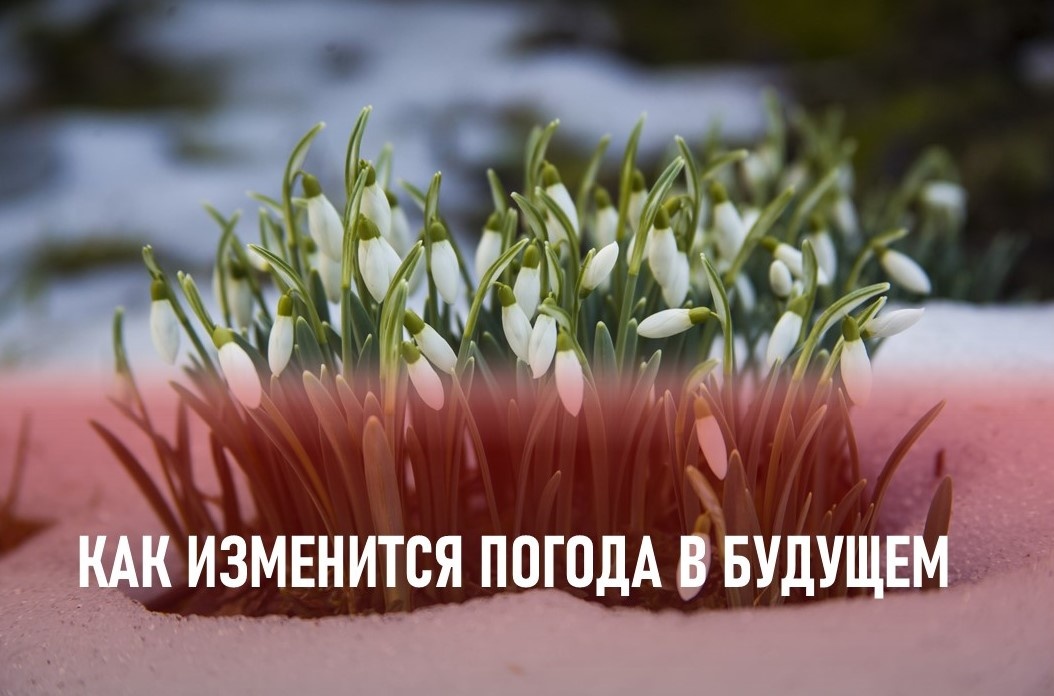 Фото: https://ru.freepik.com/