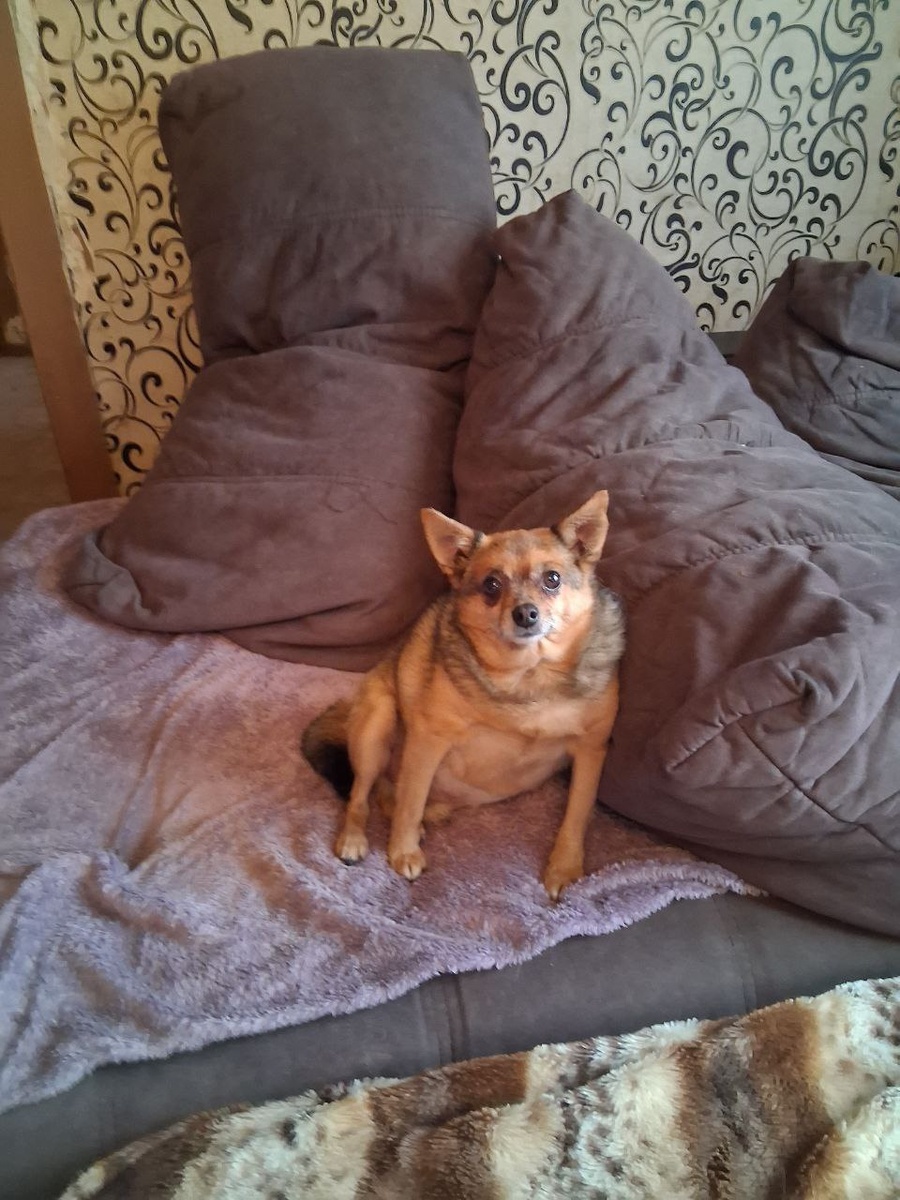 Очаровательный "бабушкин пирожок" растопил женское сердечко