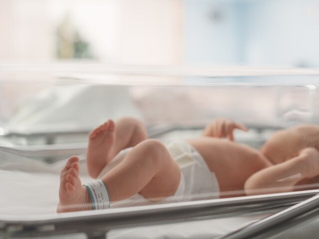    Фото: 123RF.com/gorodenkoff