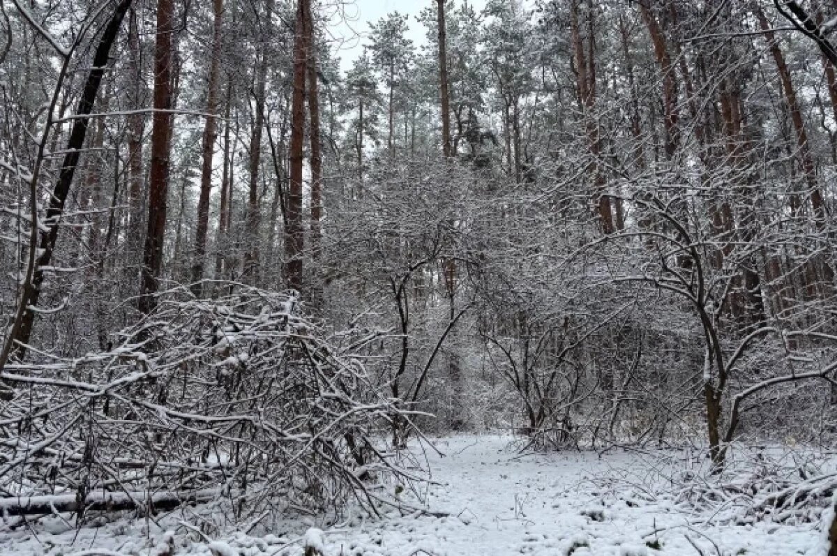    Холода до –10° нагрянут в Воронежскую область