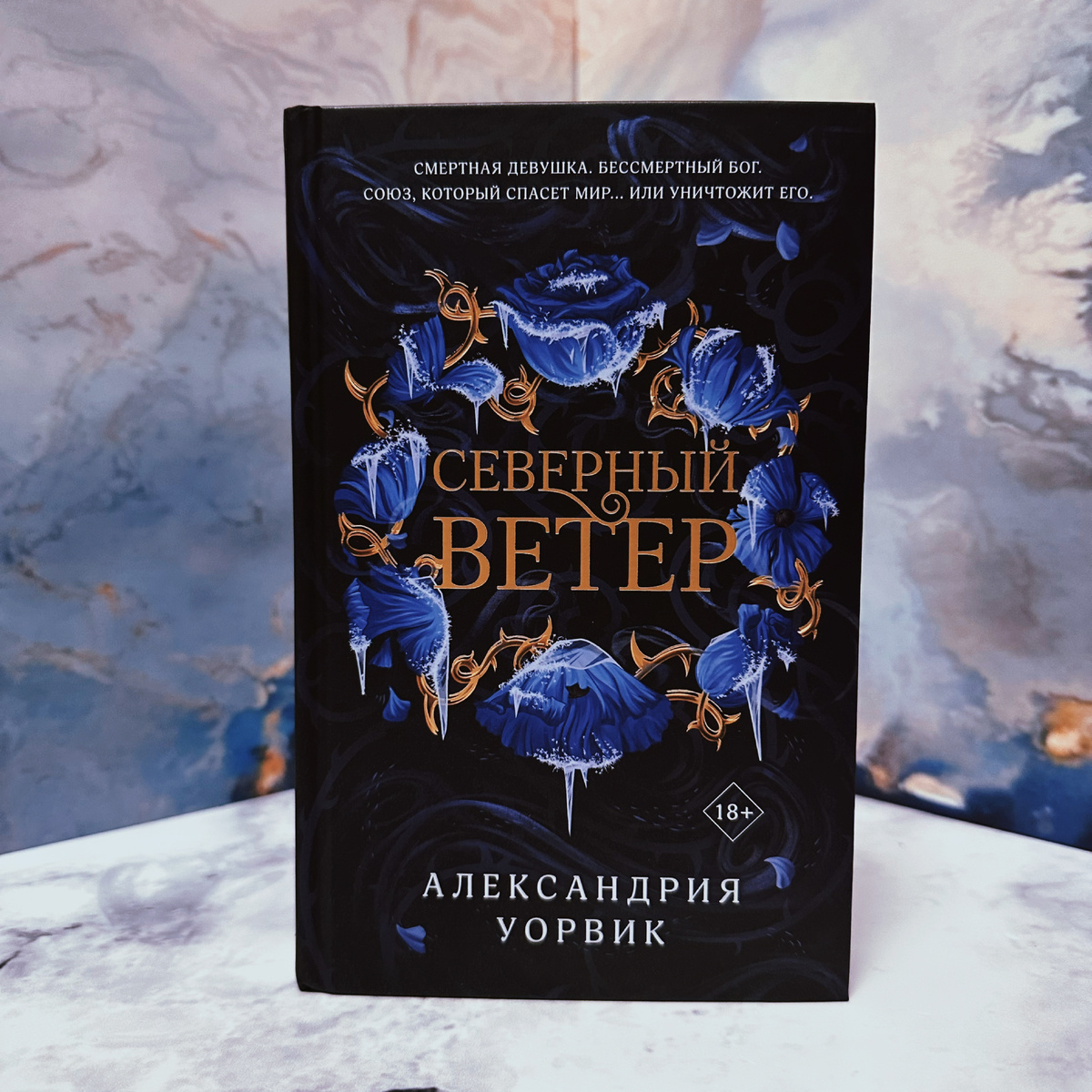 Фото Анны Карповой/Книжная лавка: жизнь любителя почитать