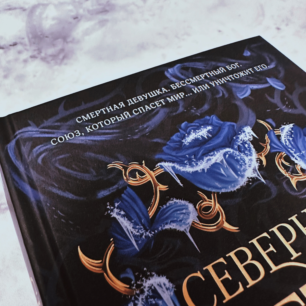 Фото Анны Карповой/Книжная лавка: жизнь любителя почитать