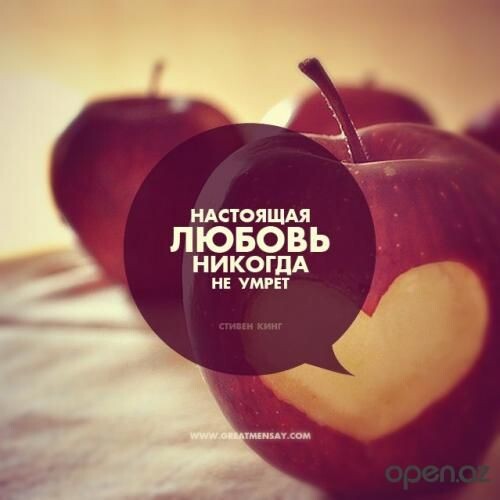 Фото из открытых источников интернета 