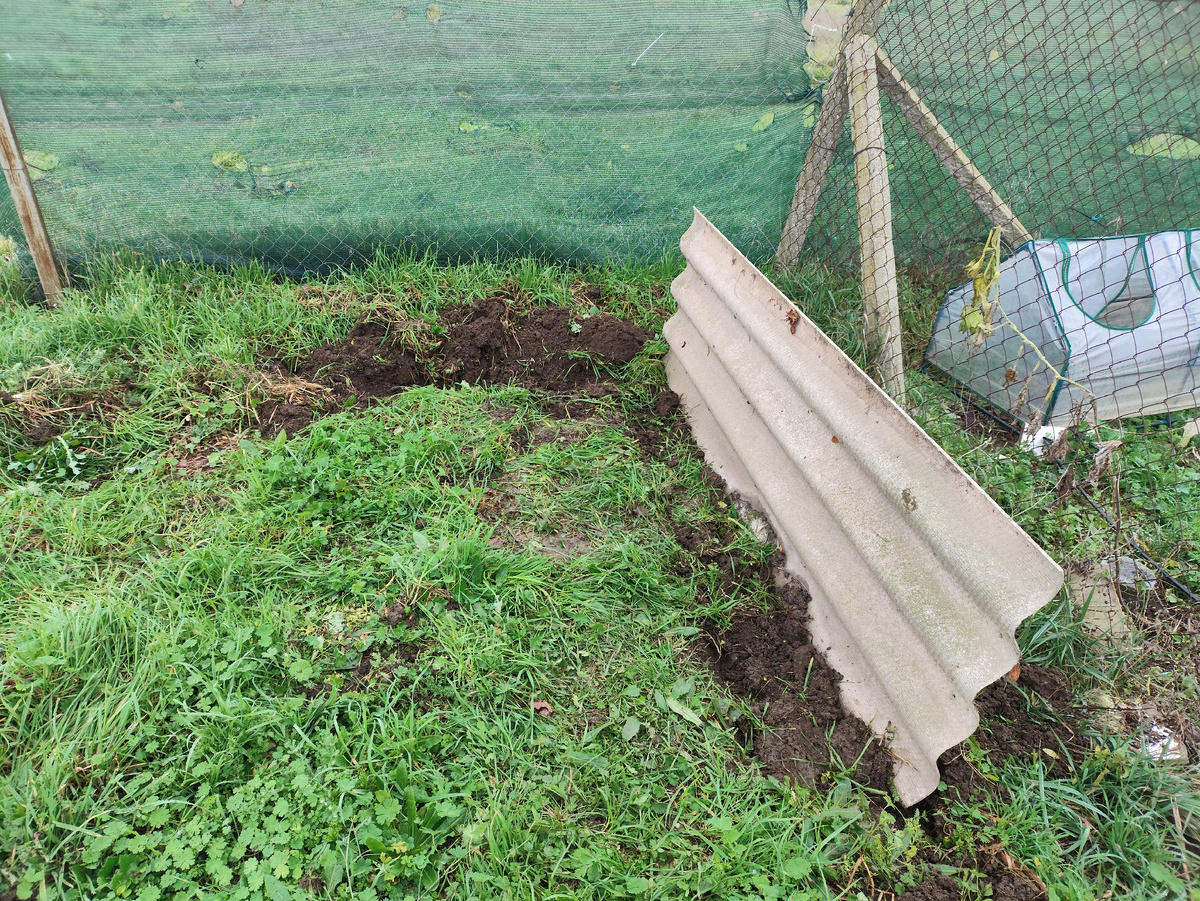 Первый лист