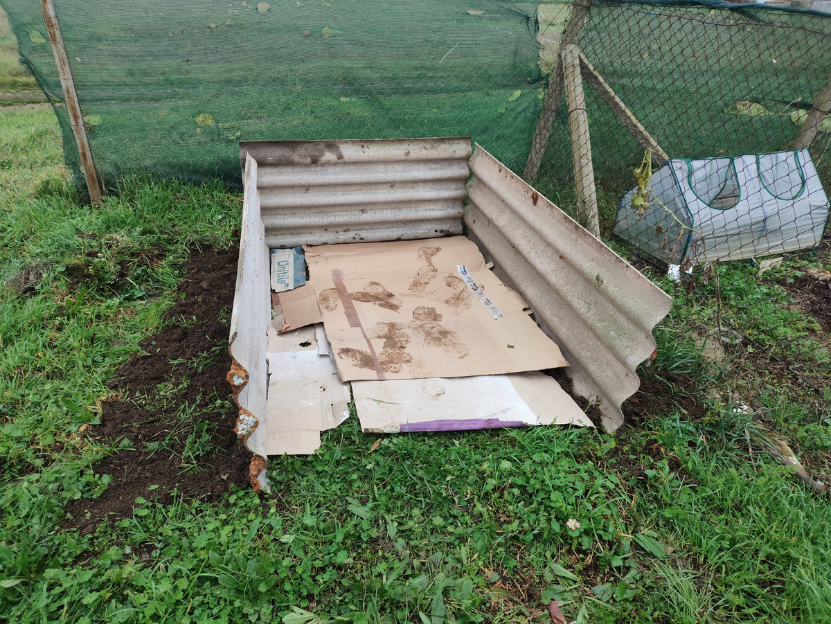 Для пущей важности картоном снизу простелила