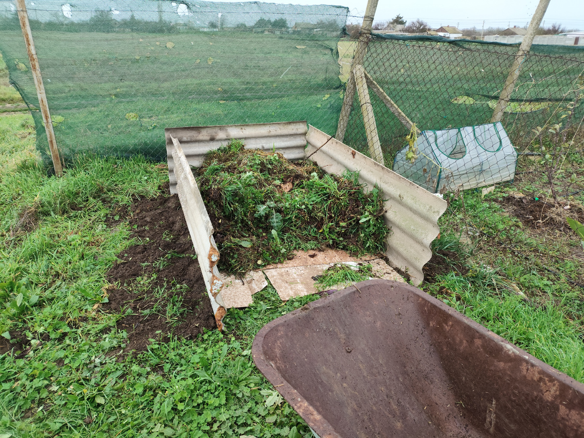 Начало положено.