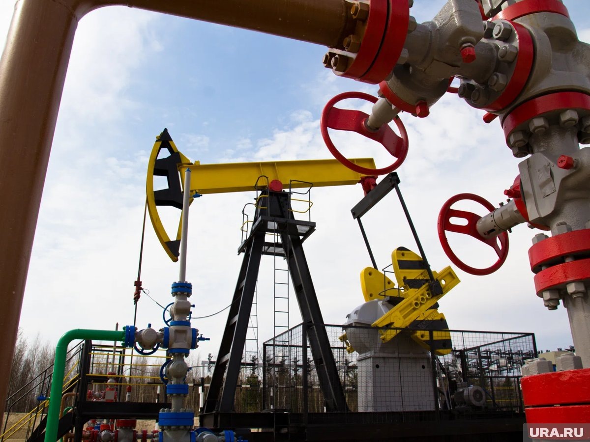     Все награжденные являются работниками нефтегазовой отрасли
