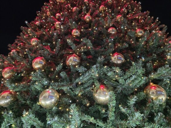    Фото: Югополис