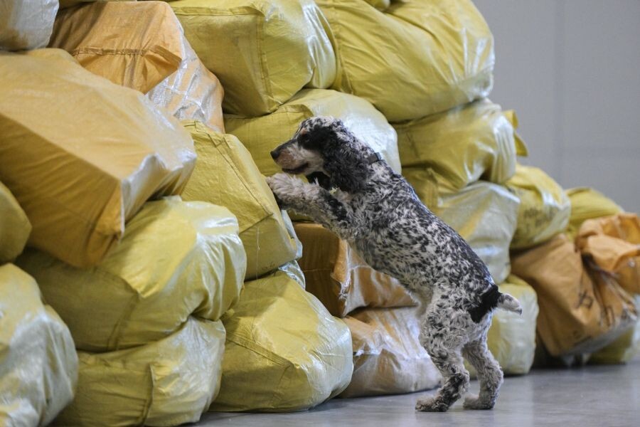     / Источник: © Александр Кряжев/РИА Новости