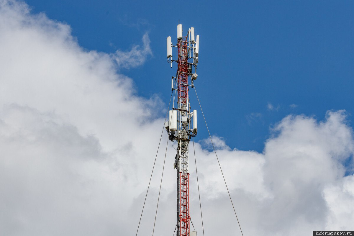 Фото из архива пресс-службы Псковского областного Собрания депутатов