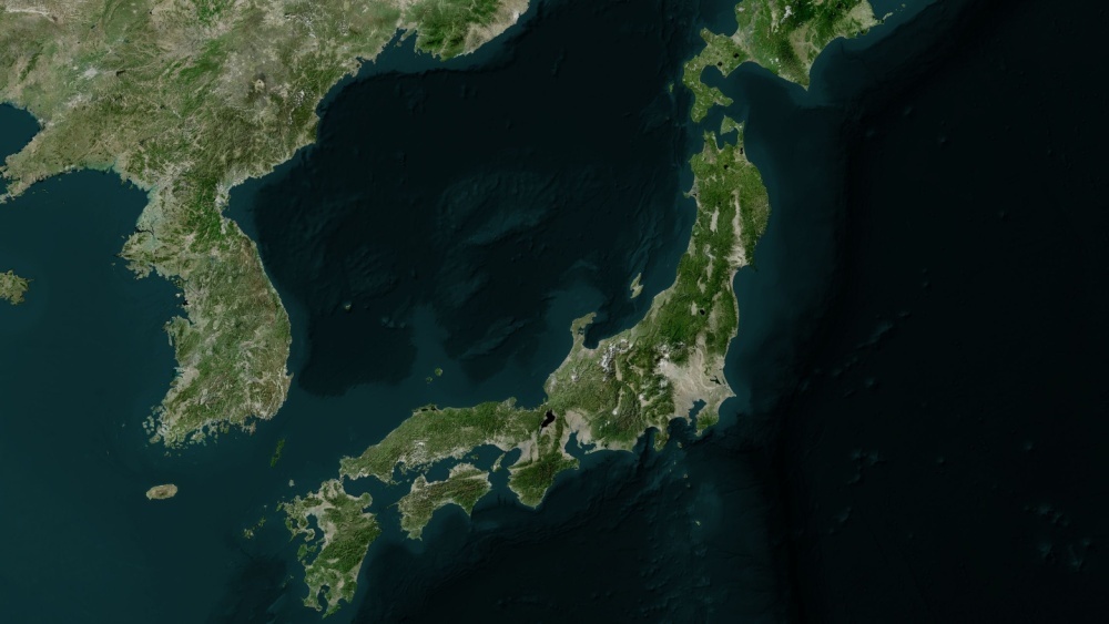     Фото: zelvan/Shutterstock/FOTODOM