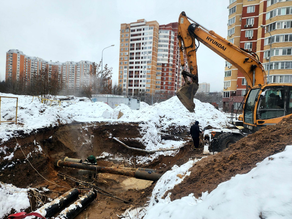     Фото: Мария Овчинникова