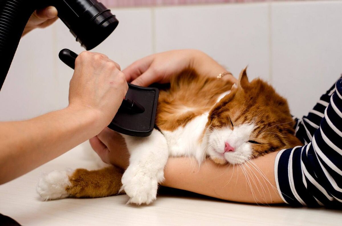 Проверяйте температуру перед каждым касанием. Это простое действие помогает предотвратить боль, страх и формирование новых триггеров.