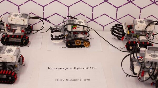    © Анна Кабисова