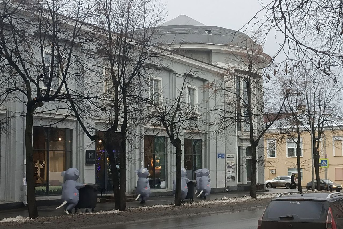    фото: © Столица на Онего / партия "Новые люди"