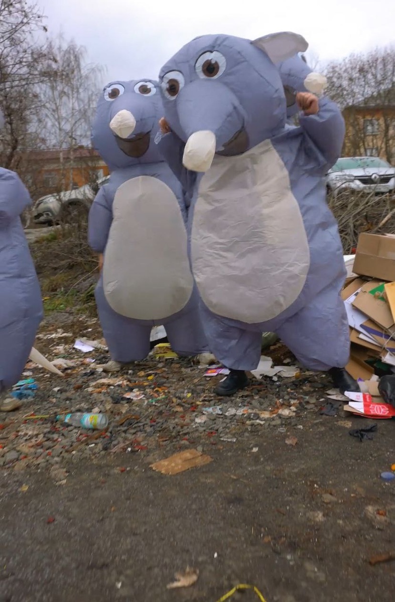    Огромных крыс заметили жители Петрозаводска в центре города© Столица на Онего / партия "Новые люди"