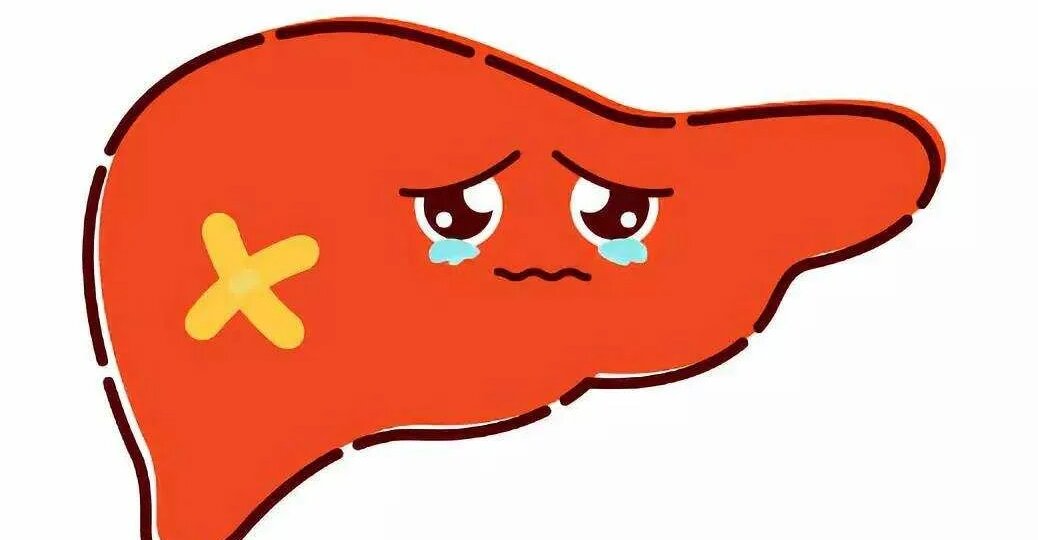 Печень болеет молча: какие признаки указывают на ее поражение