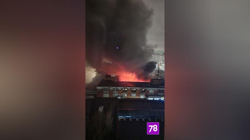    Фото: соцсети