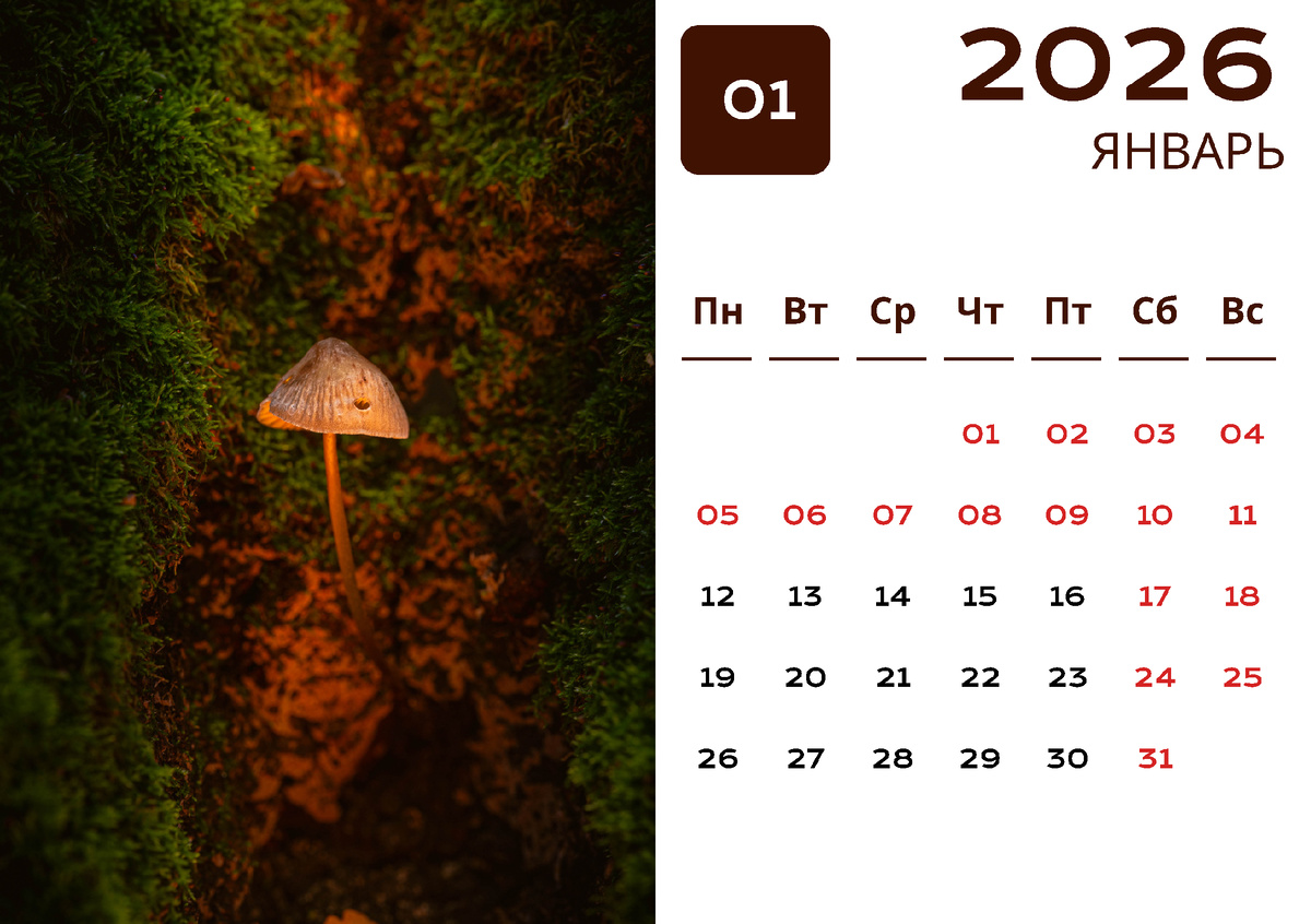 Январь (фото автора)