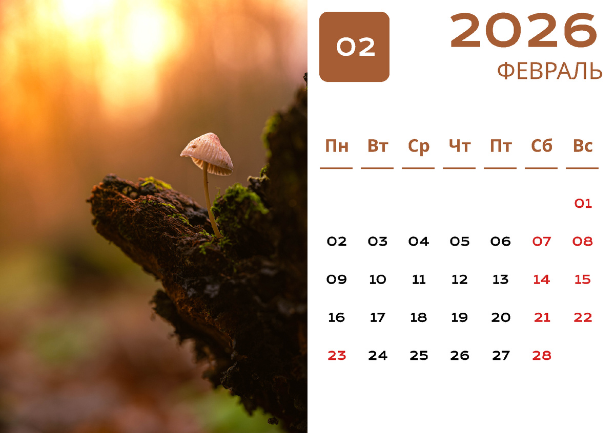 Февраль (фото автора)