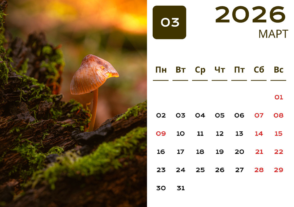 Март (фото автора)