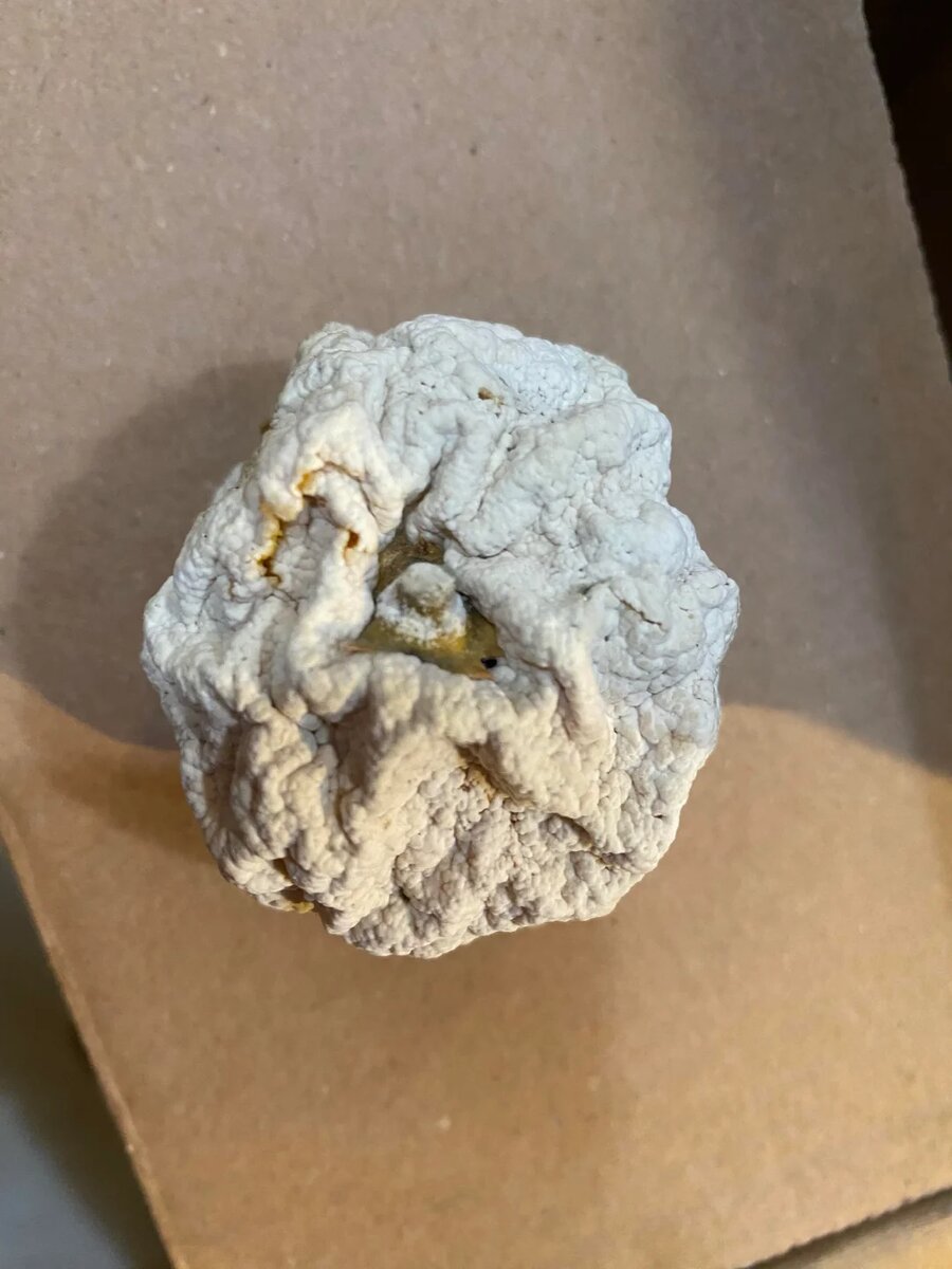 Appropriate_Season83