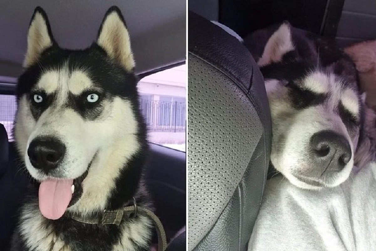    Фото из личного архива семьи