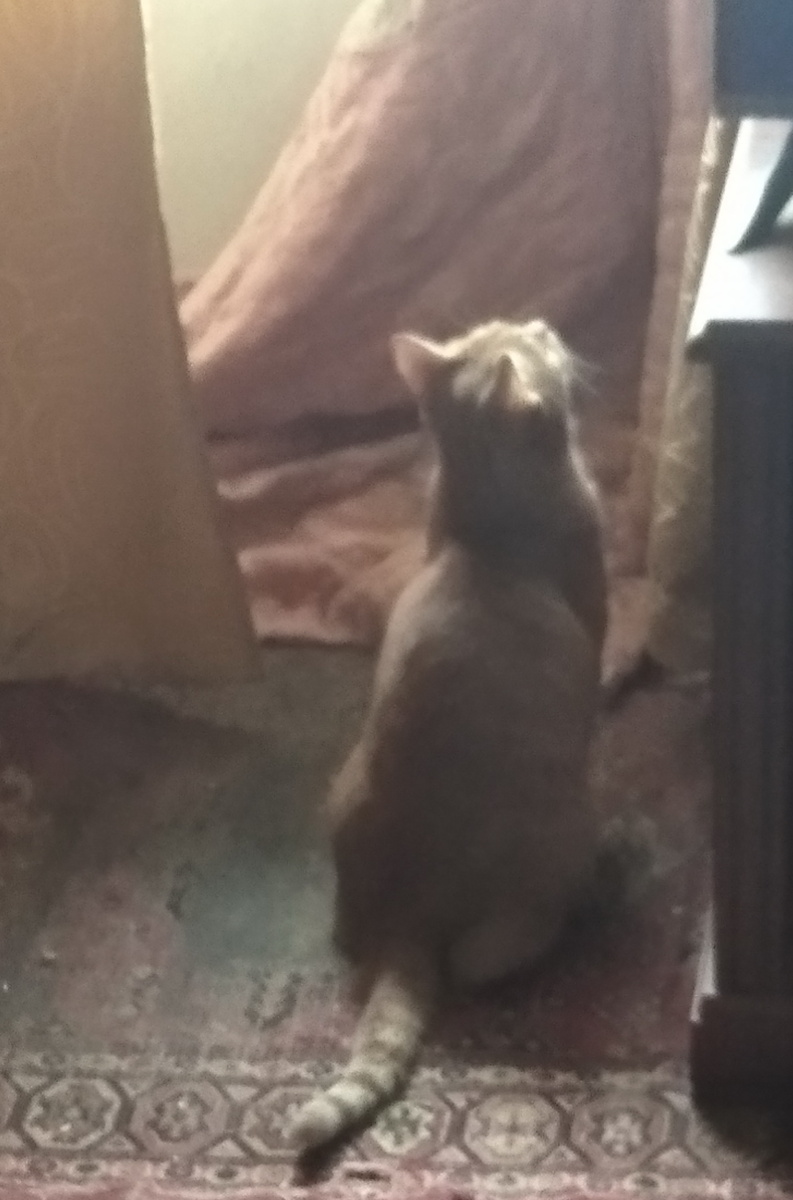 Личное фото