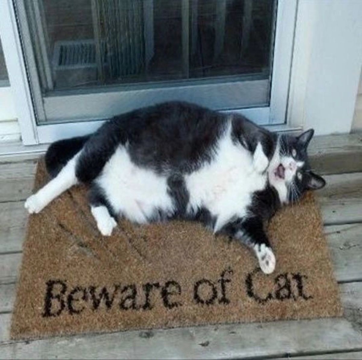 Источник: pinimg.com