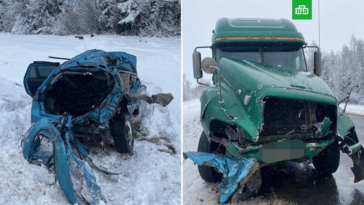    Фото: umvd35 / t.me