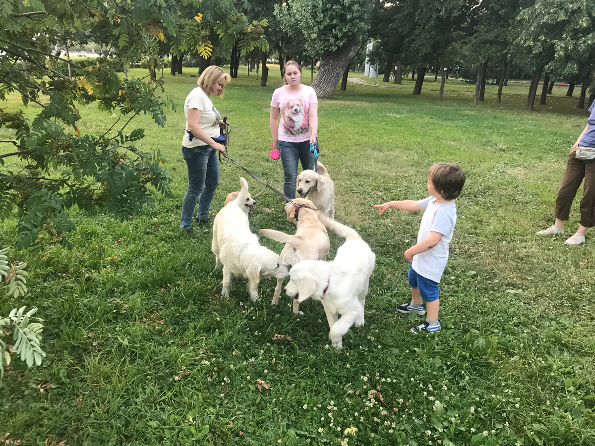 Семейная магия: дружба, которая растёт вместе