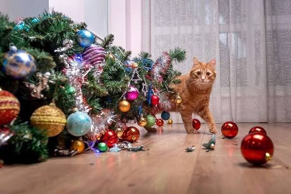 Фото из Интернета. 