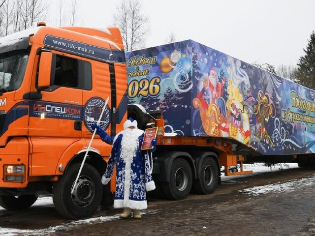    Фото: РИА Новости/Юрий Кочетков